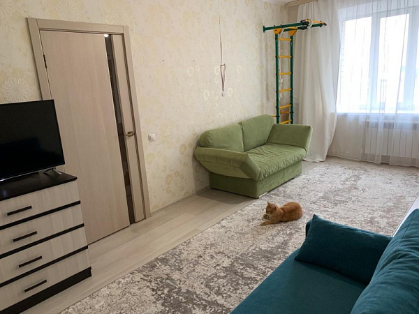 1-к квартира на Агапкина 22/2 1-к квартира на Агапкина 22/2
